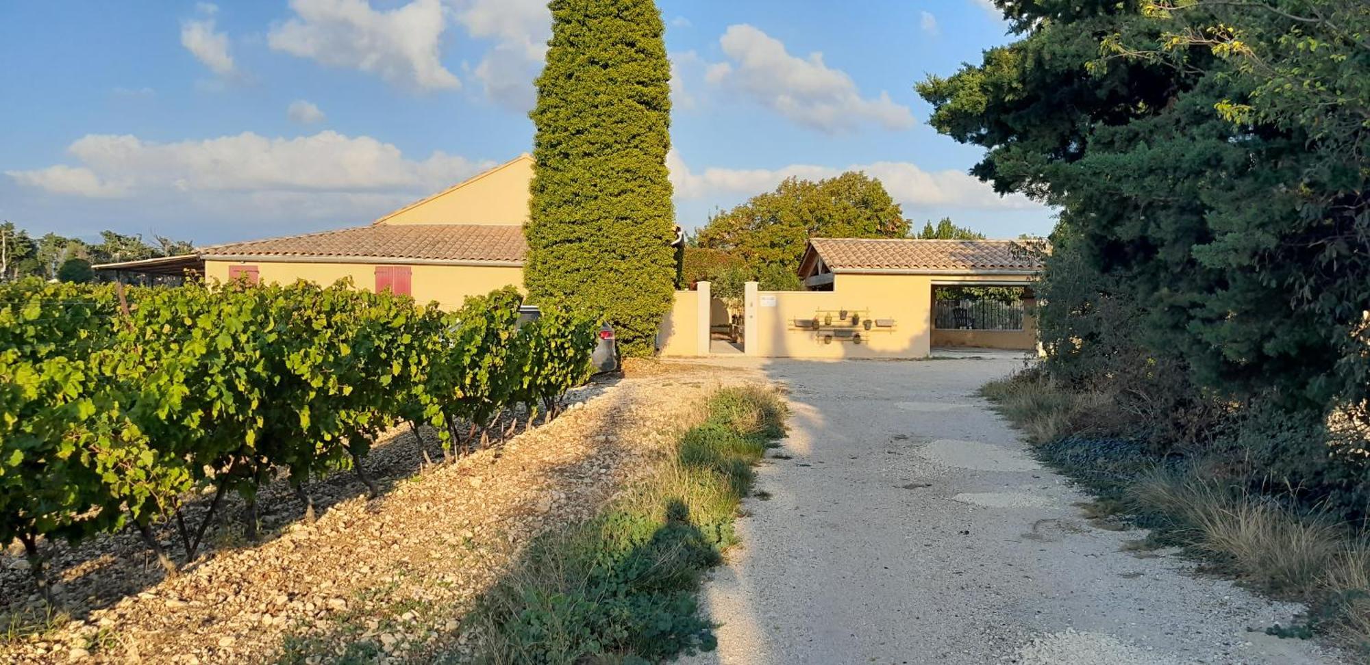 Mas La Gentille ,,, A La Campagne , Beautiful Outdoor , Swimming Pool , Pool House , Nice Green Garden , Bbq ,,, Only For You , Pour Passer Un Sejour Inoubliable Pernes-les-Fontaines Esterno foto